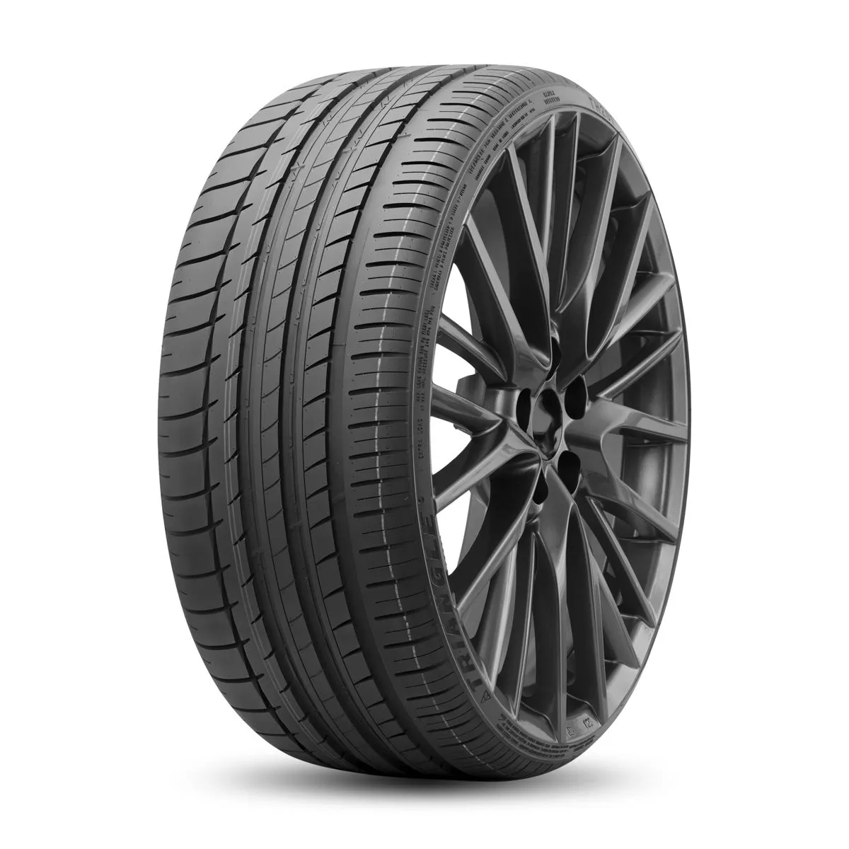Шины Triangle SporteX TH201 (TSH11) 255/30 R22 95Y XL в интернет-магазине МВО в Москве
