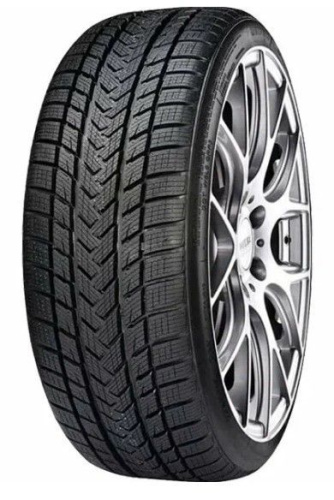 Шины Gripmax SureGrip eWinter 245/45R17 99V XL BSW в интернет-магазине МВО в Москве